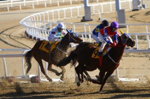 Real Money Horse Racing Betting India 2026: Step-by-Step Guide for India (2026)