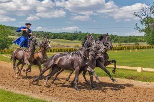 Expert Popular Horse Racing Betting Apps India 2027 Review 2026: Bonus, App, Withdrawal Tested